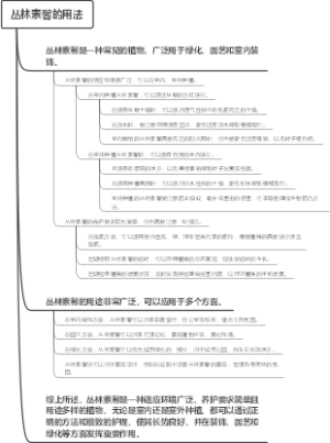 丛林素馨的用法
