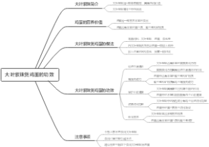 大叶紫珠煲鸡蛋的功效