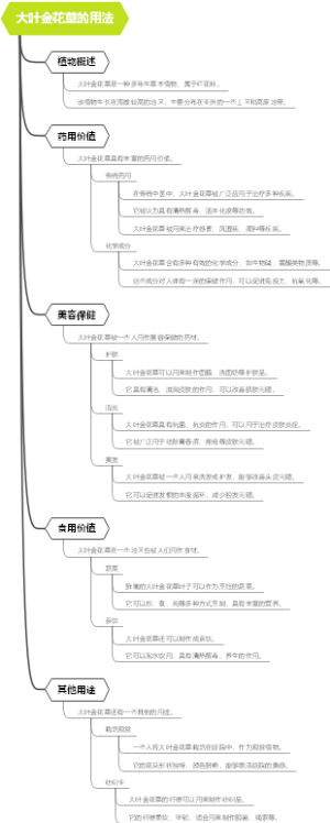 大叶金花草的用法