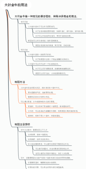 大叶金牛的用法
