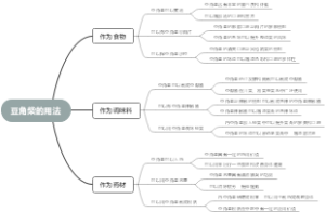 豆角柴的用法