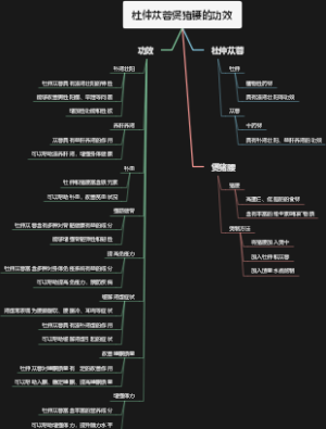 杜仲苁蓉煲猪腰的功效