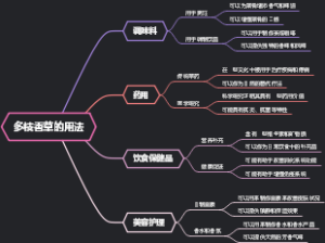 多枝香草的用法
