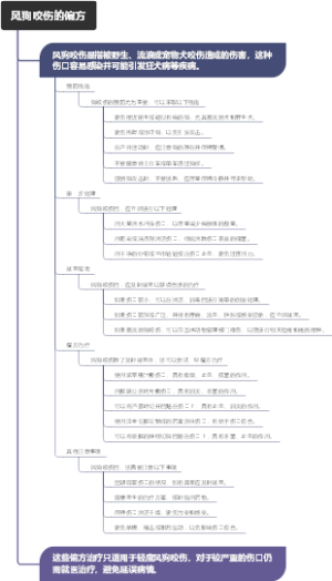风狗咬伤的偏方
