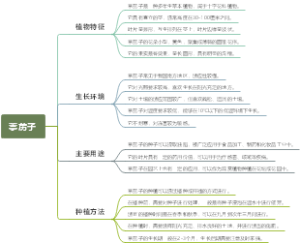葶苈子
