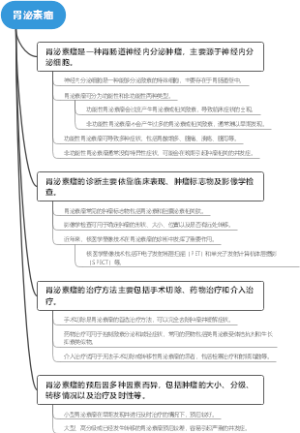胃泌素瘤