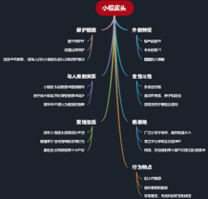 小棕皮头