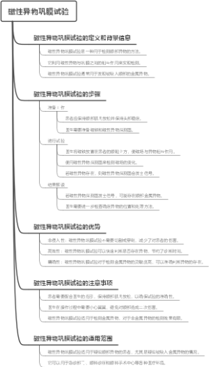 磁性异物巩膜试验