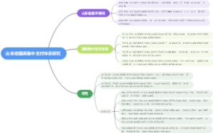 山东省国库集中支付体系研究