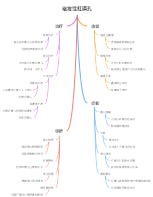 继发性虹膜孔