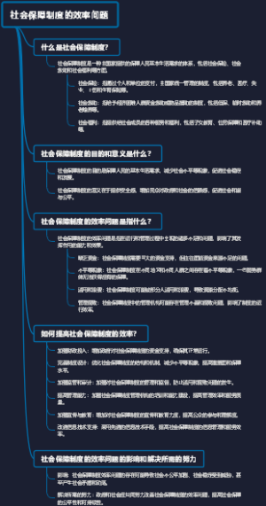 社会保障制度的效率问题