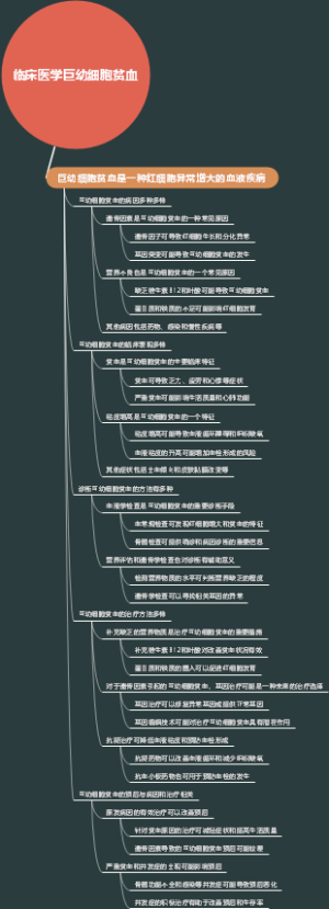 临床医学巨幼细胞贫血