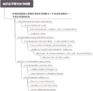 临床医学等同传导间期