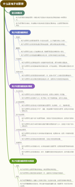 什么是电子化管理