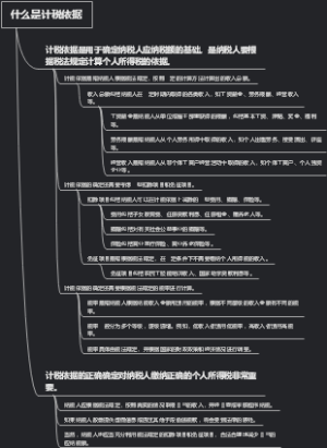 什么是计税依据