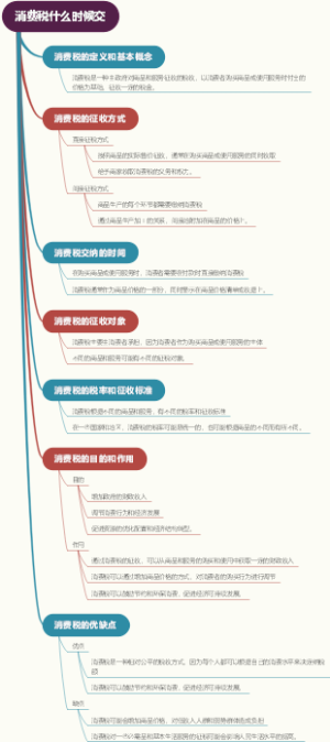 消费税什么时候交