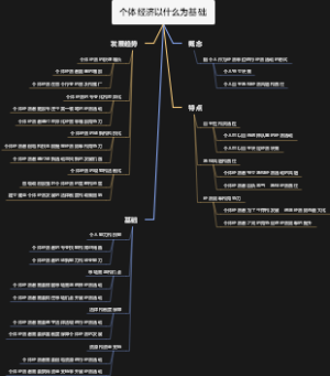 个体经济以什么为基础