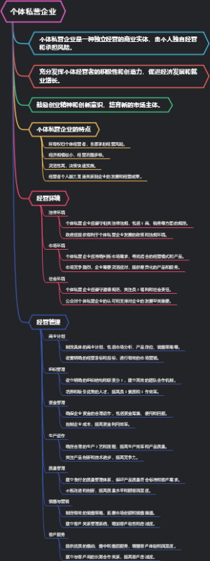 个体私营企业