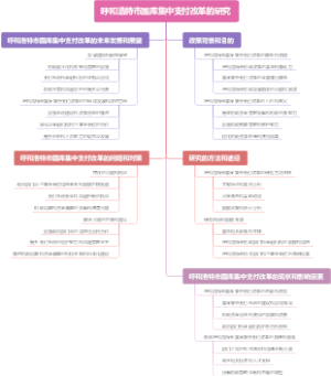 呼和浩特市国库集中支付改革的研究