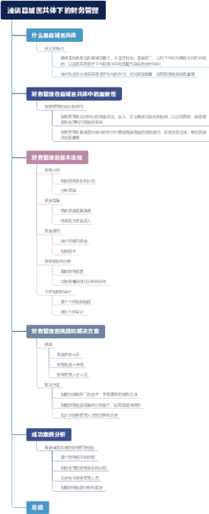 浅谈县域医共体下的财务管理