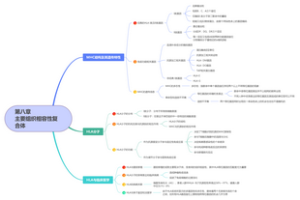 免疫学第八章_主要组织相容性复合体