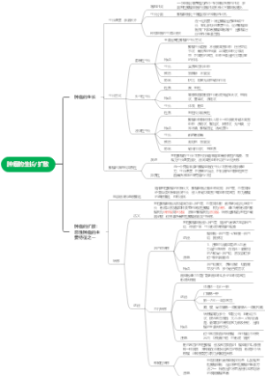 肿瘤的生长扩散