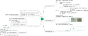 植物学-茎思维导图