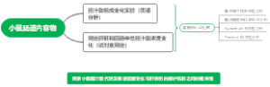 小鼠肠道内容物