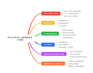 HR-作为分公司HR，如何推动专业人才建设