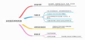 内科-实验室及其他检查