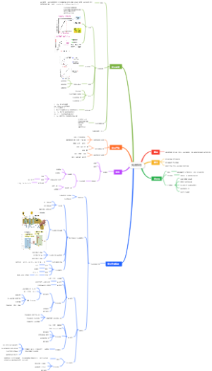 植物生理学光合作用思维导图