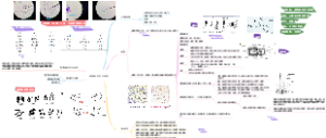 细菌的形态与结构思维导图