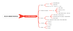 第五章细胞膜与物质转运