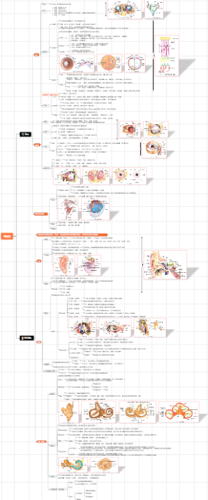 8.系统解剖 感觉器