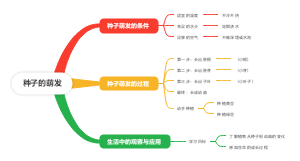 种子的萌芽