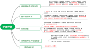 护理评估