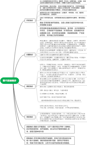 腹内脏器触诊