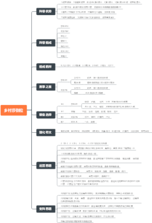乡村乐莎弥拉攻略