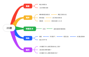 鱼鳍