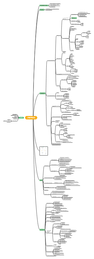 中狮战略和目标2020思维导图