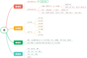 花的拓展知识思维导图