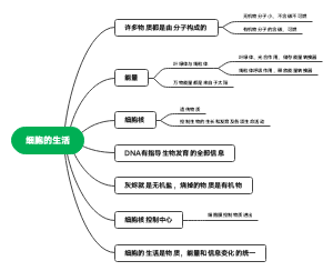 七年级上册细胞的生活思维导图