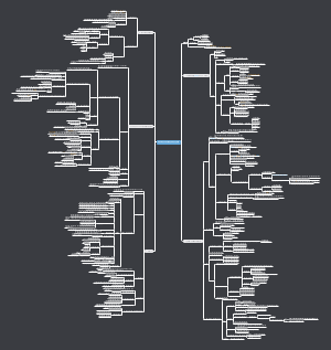 毒理学2外源化学物在体内的生物转运与生物转化 