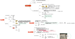 中药学-藻类植物，真菌植物，地衣植物门思维导图
