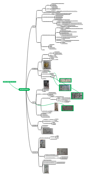 医用细胞生物学 细胞的内膜系统与囊泡转运