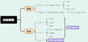 前庭蜗器