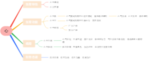 医学-心脏思维导图