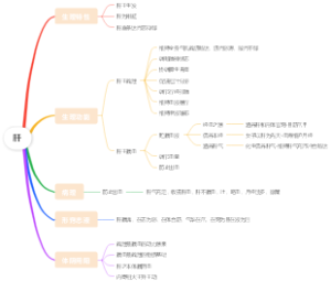医学-肝