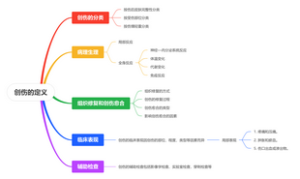 创伤的定义思维导图