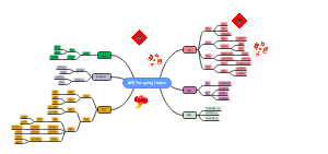 春节 The spring Festive